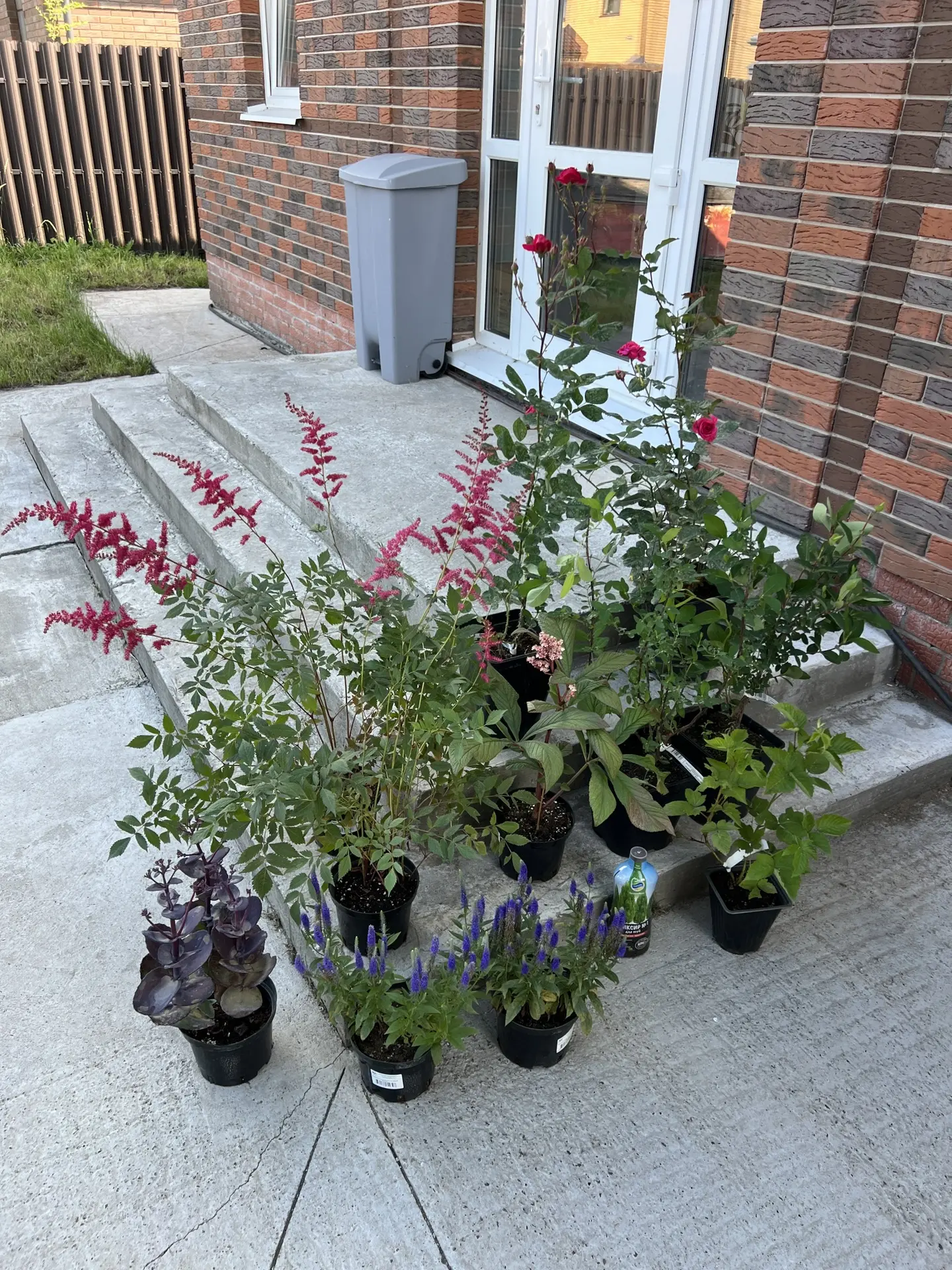 Мой улов😍🌿🌸