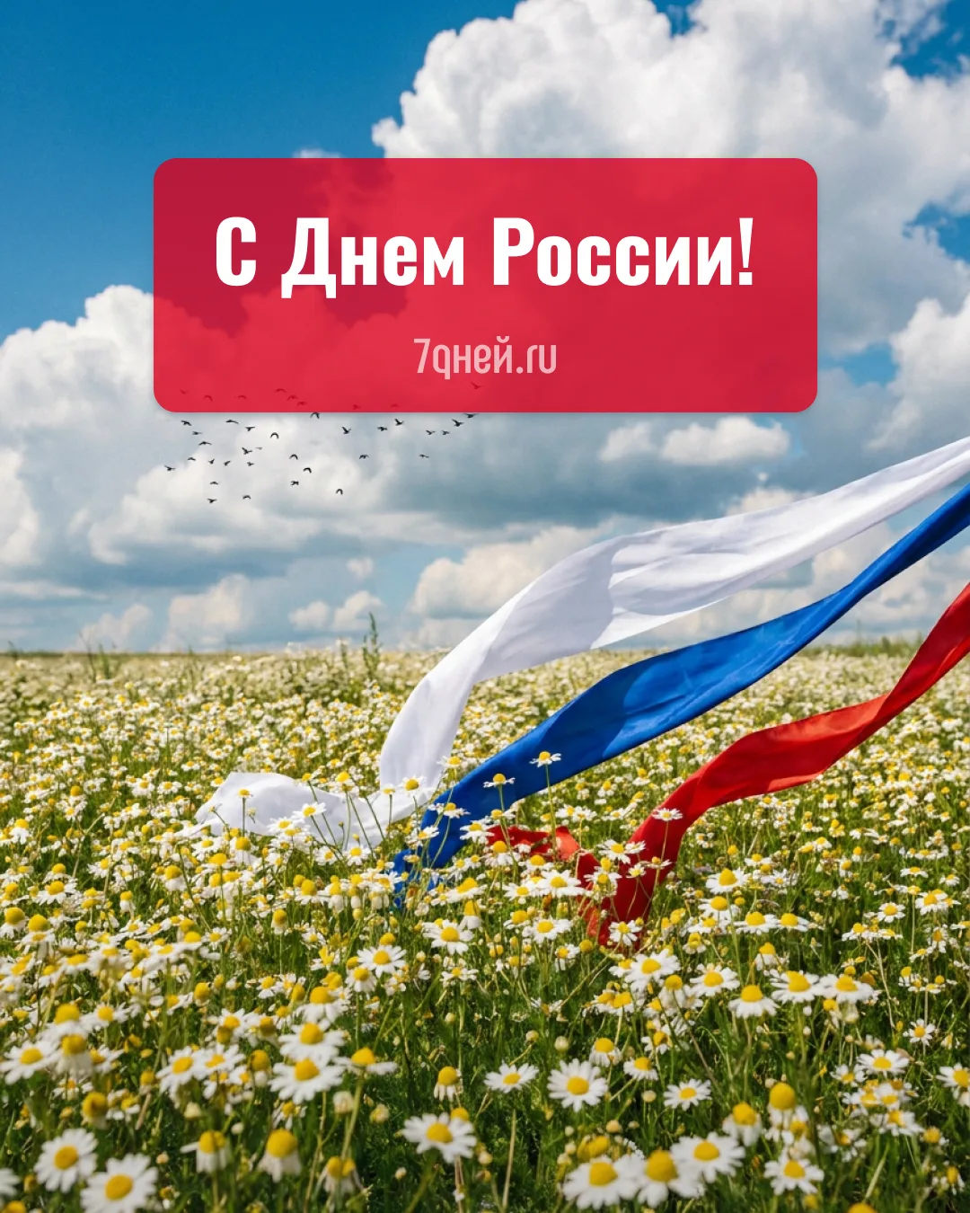 Редакция 7Дней.ru поздравляет всех с Днем России!

Сегодня мы отмечаем нашу богатую культуру, истори