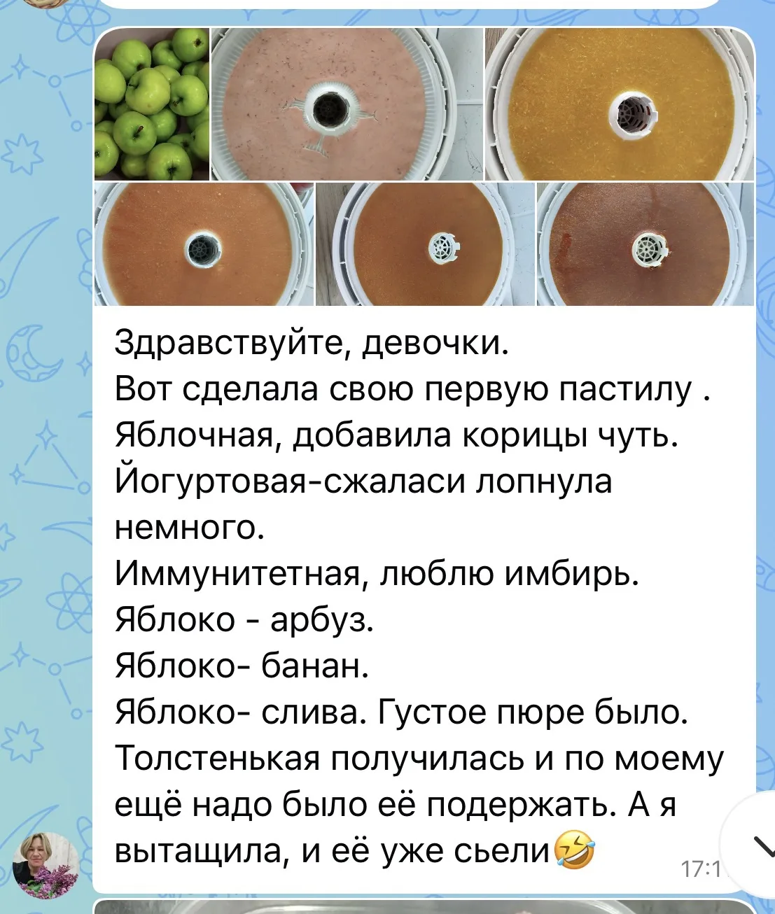 Изображение 3 к публикации «Пастила Фрипсы ПП-сладости Обучение Fripse House»