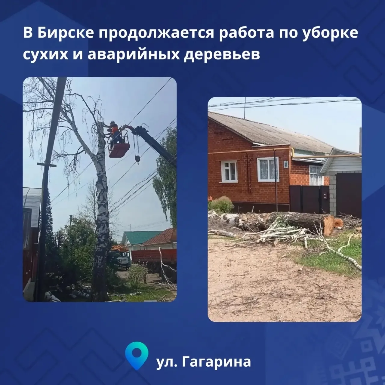 👷‍♂️В Бирске продолжают убирать сухие и аварийные деревья