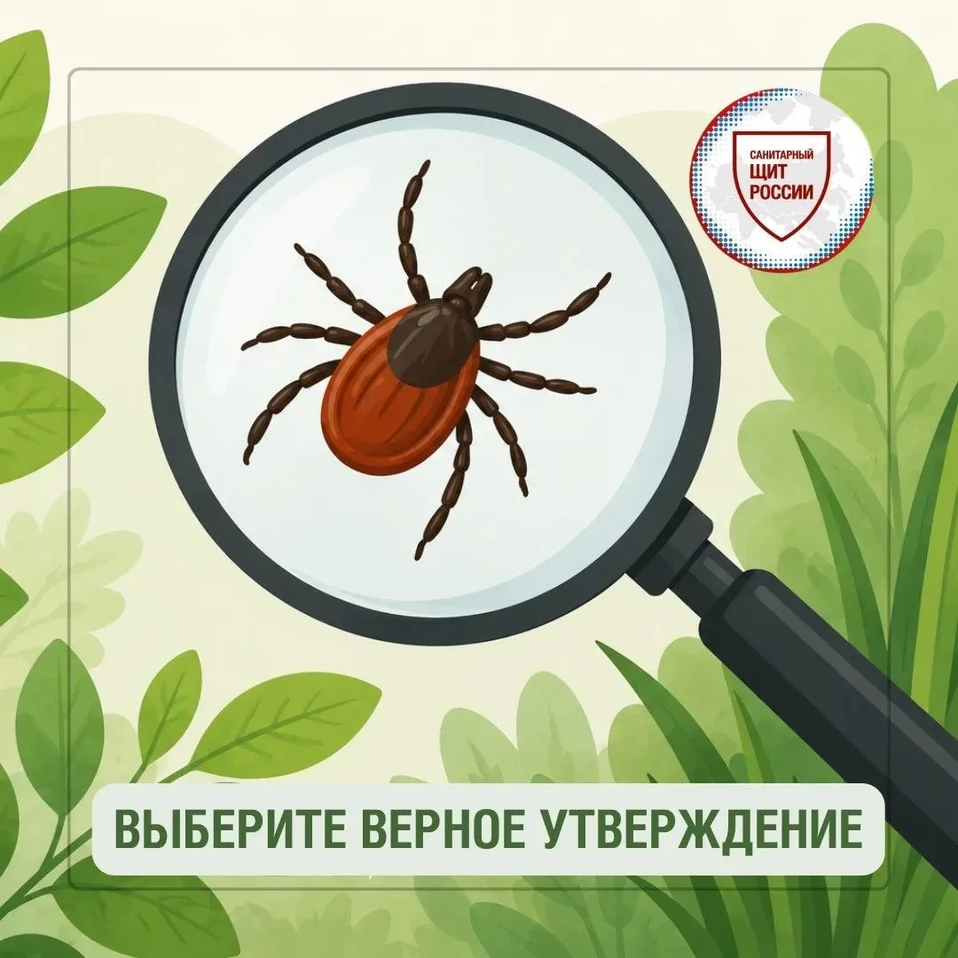 Какое утверждение наиболее верно?