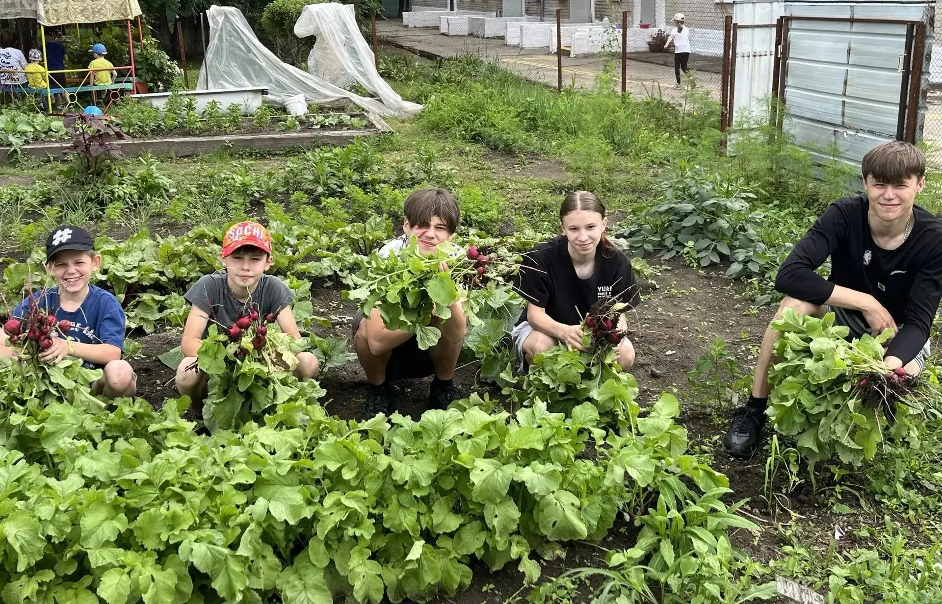 🍓 Во саду ли, в огороде: наши юные агрономы за работой!