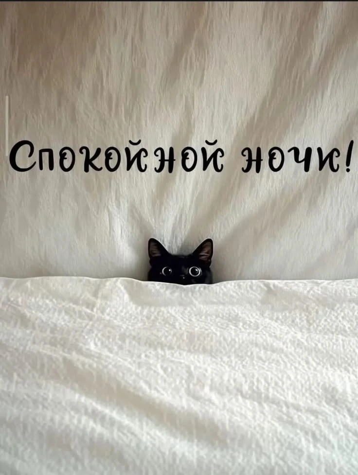 Доброй ночи, друзья! 🌙