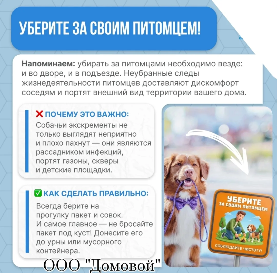 Доброе утро, собственники МКД!
  🐕В Белгородской области за несоблюдение требований к содержанию жи