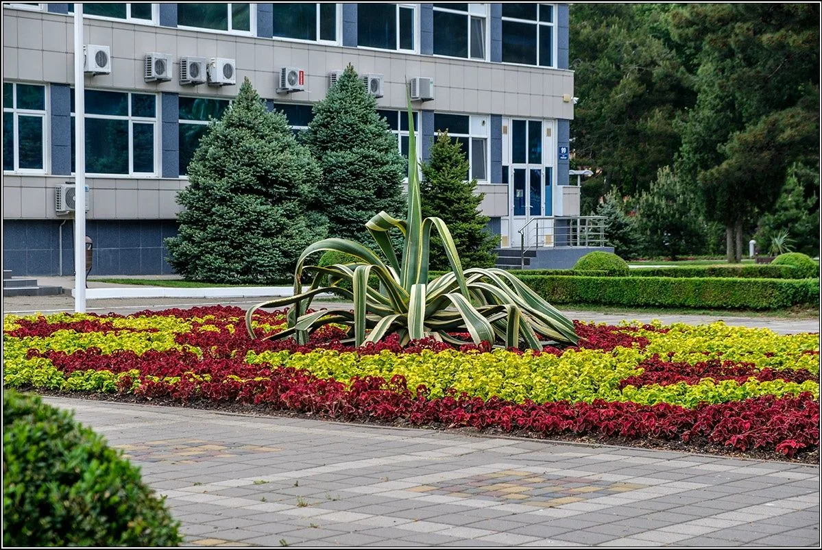В Анапу приходит долгожданное майское потепление 🔥