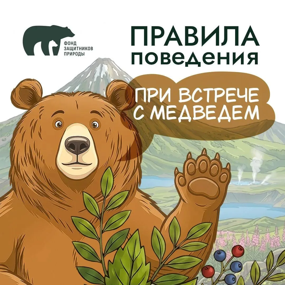 Собираетесь на рыбалку или в поход?