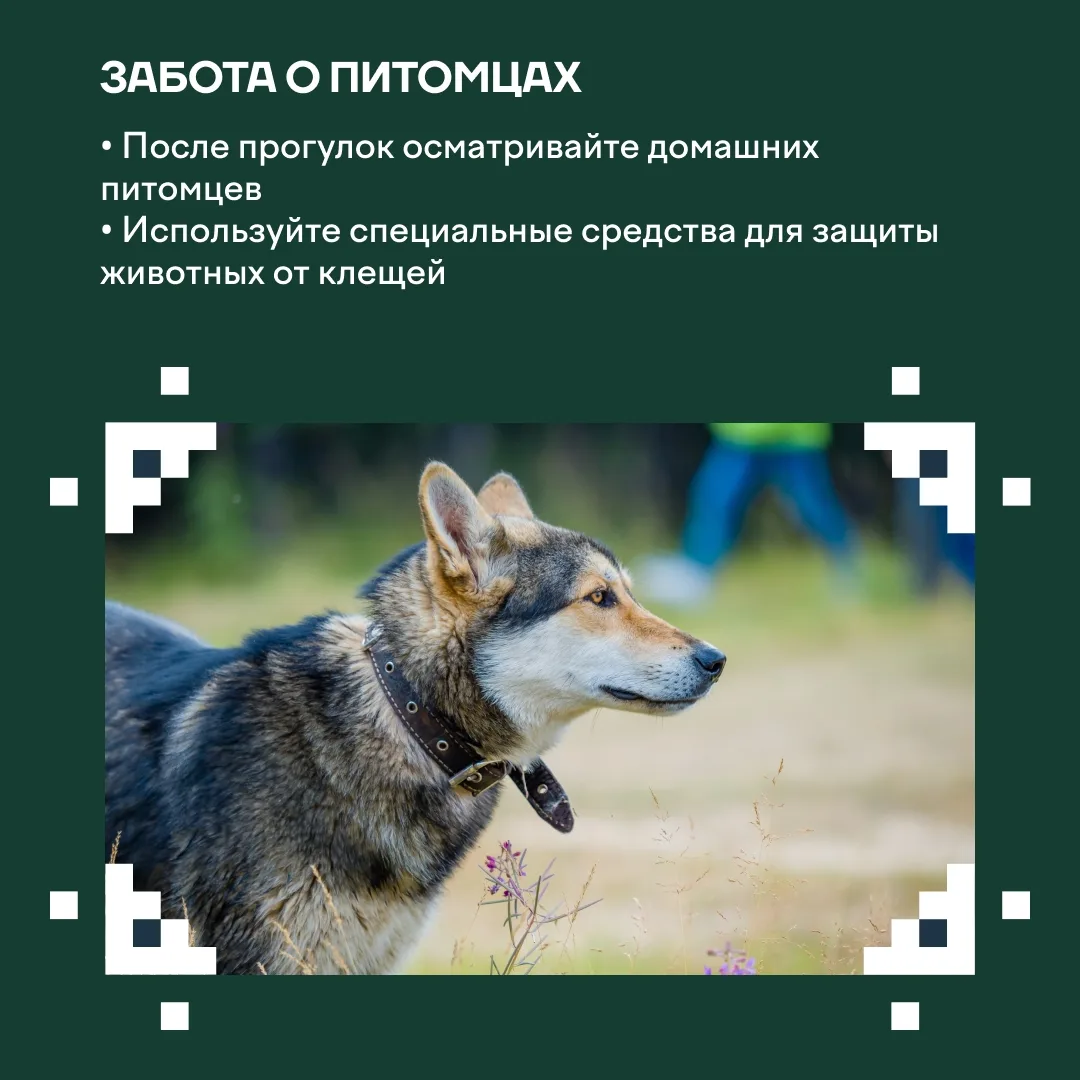 🌿 В наш округ возвращаются солнечные дни, хочется чаще гулять и наслаждаться весенними пейзажами. Но