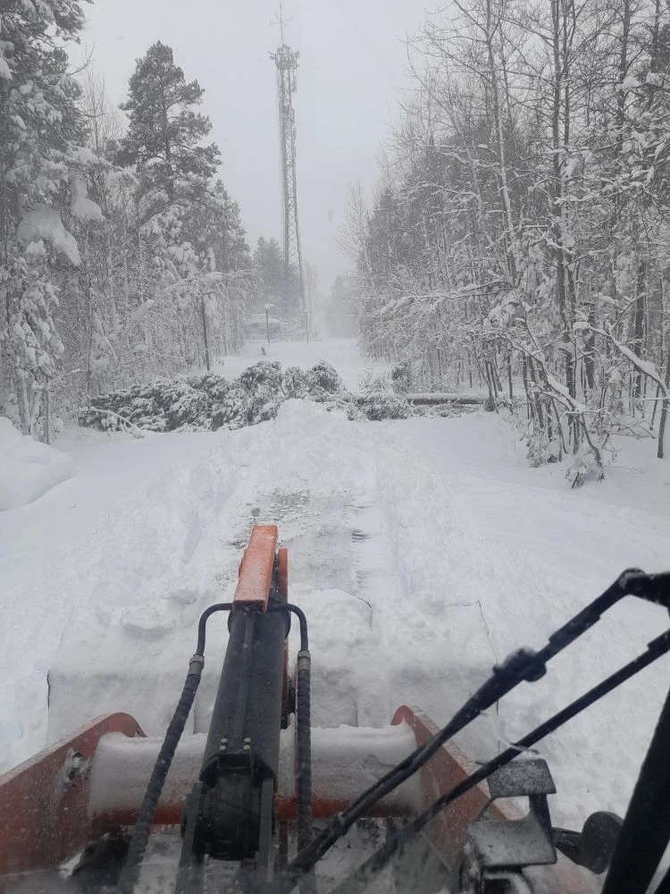 Уважаемые родители Ноябрьска!