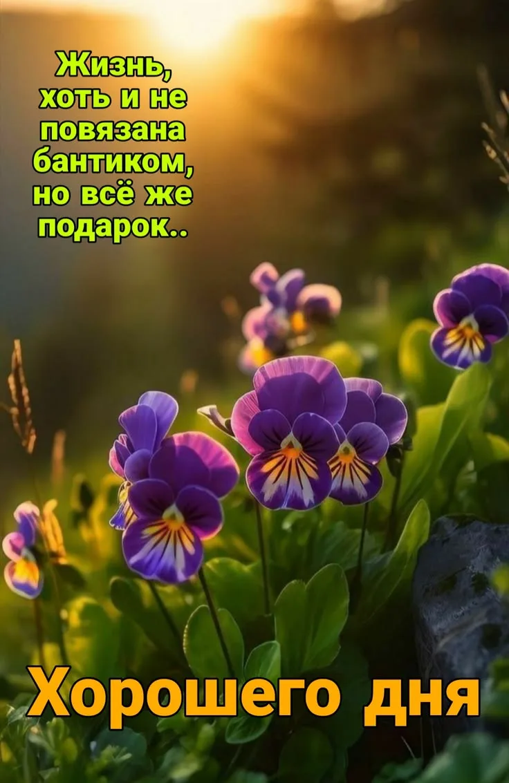 💜💜💜