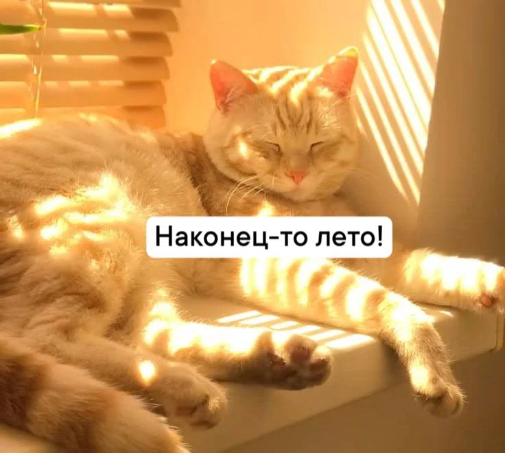☀️ На выходных в Тулу придёт настоящее лето

В ночь на субботу и утром пройдёт холодный фронт с небо