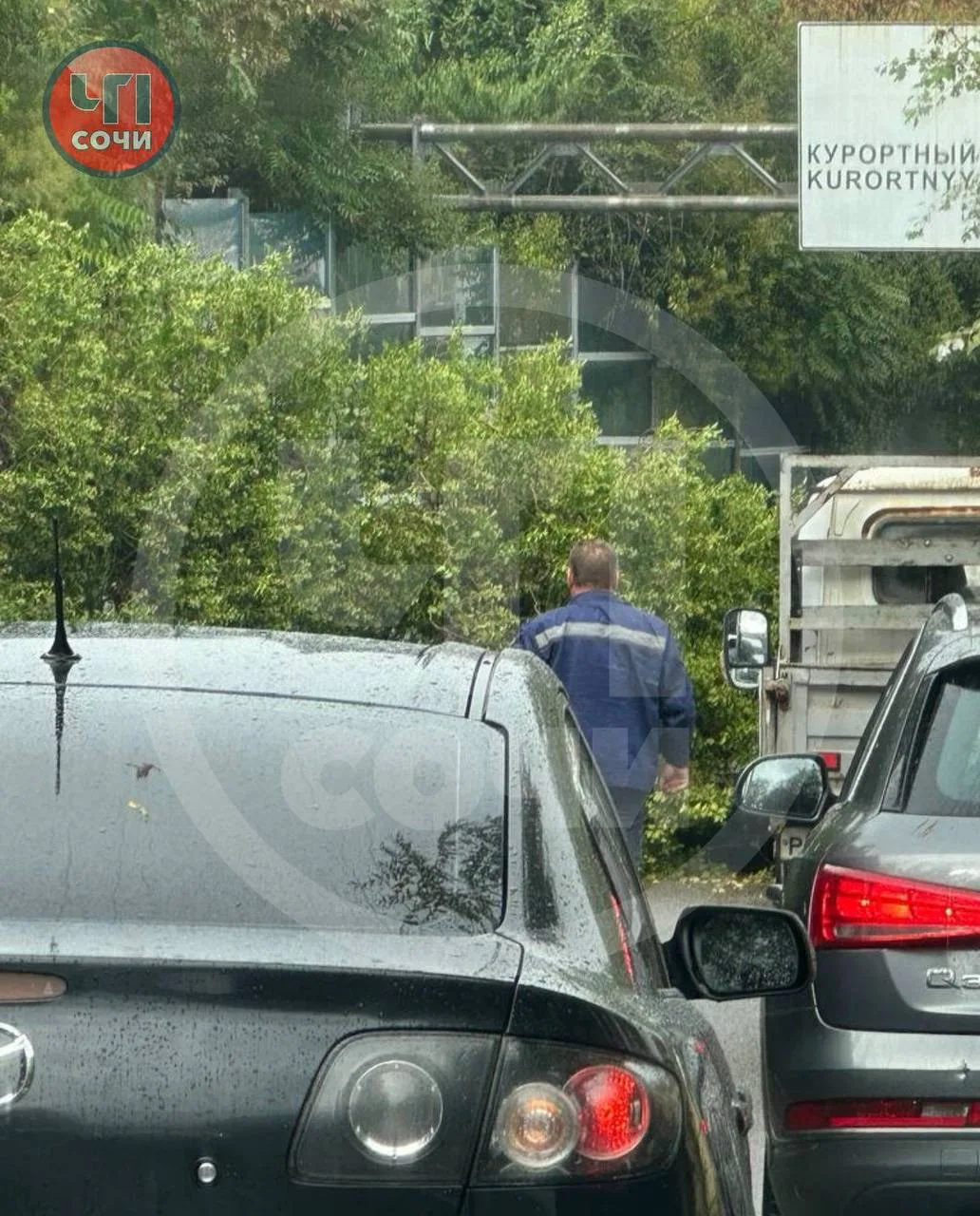 На улице Виноградной в Сочи дерево рухнуло на проезжающий автомобиль. Инцидент произоше...