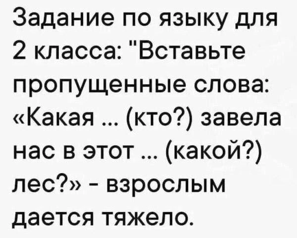 Северный Мишка