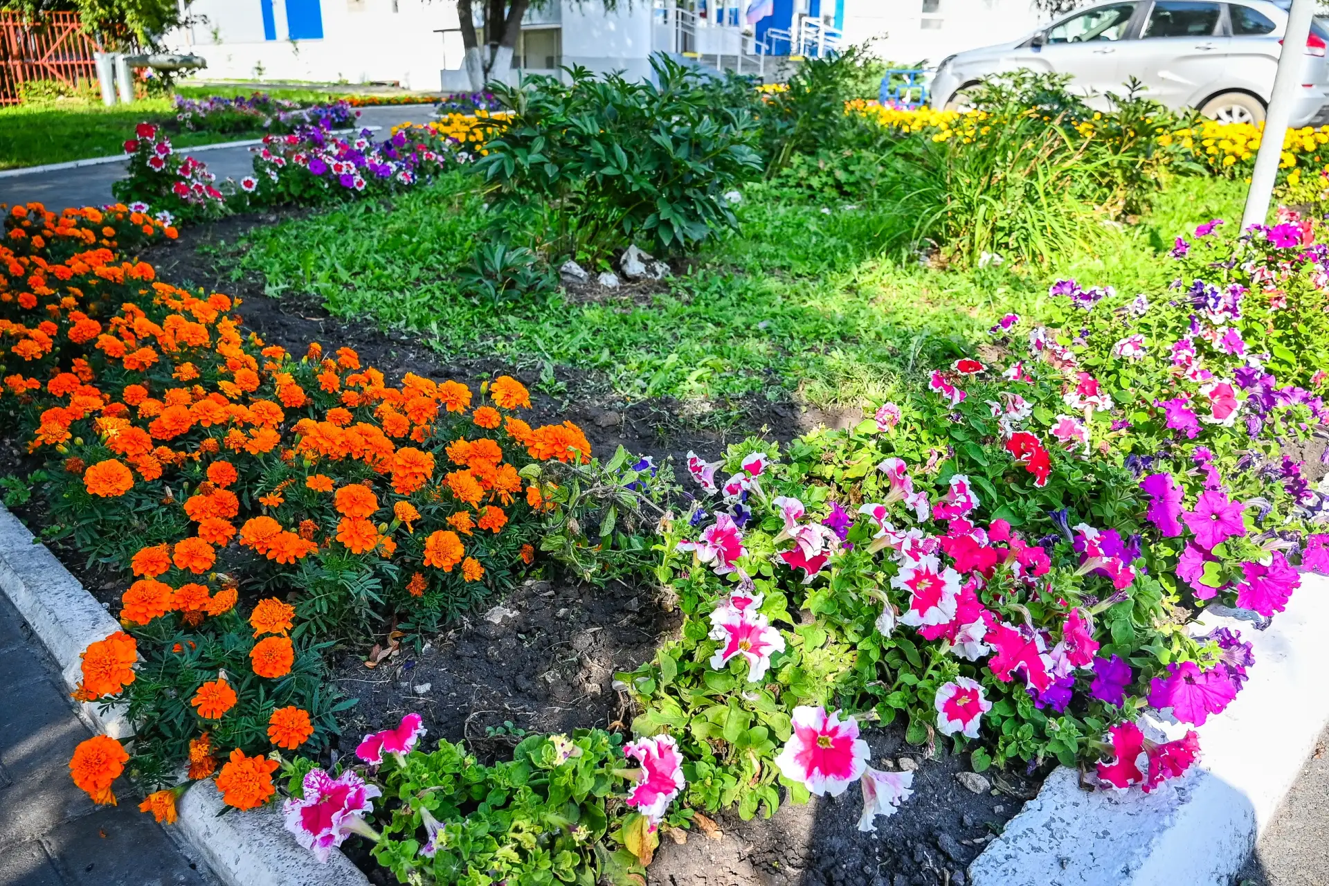 Ярких красок в ленту🌺🌼🏵