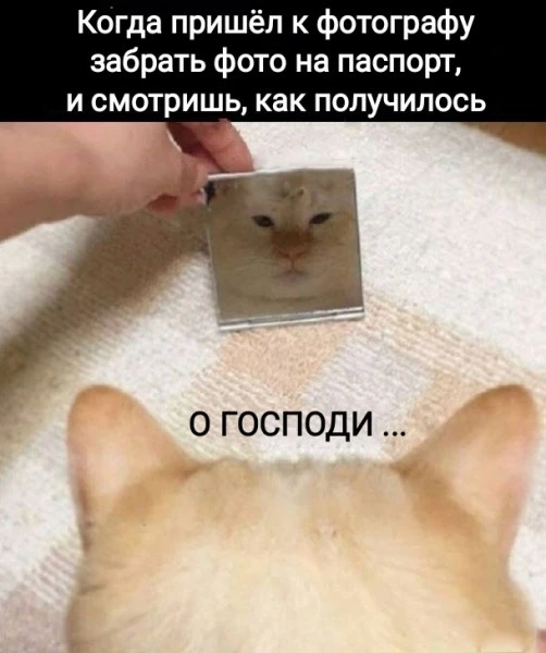 Подпишись на юмор 😂