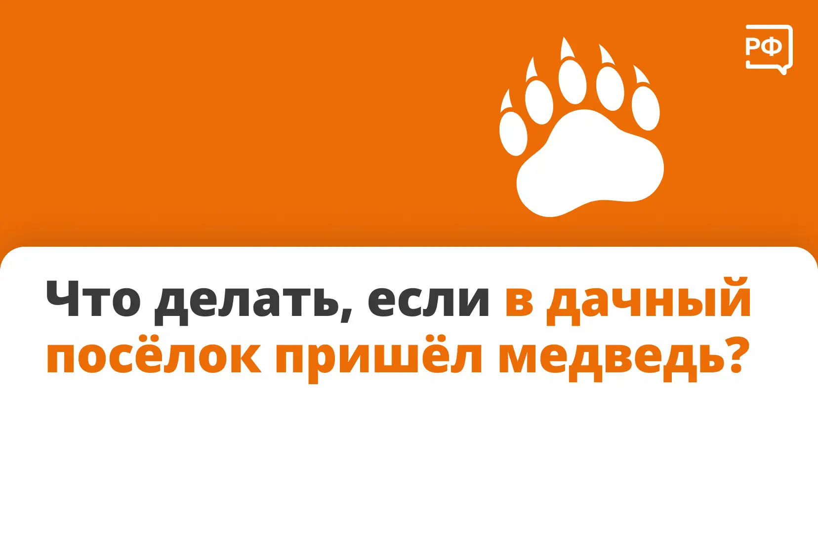 🐻 С 1990 года число бурых медведей в России выросло вдвое — сейчас их уже свыше 300 ты...