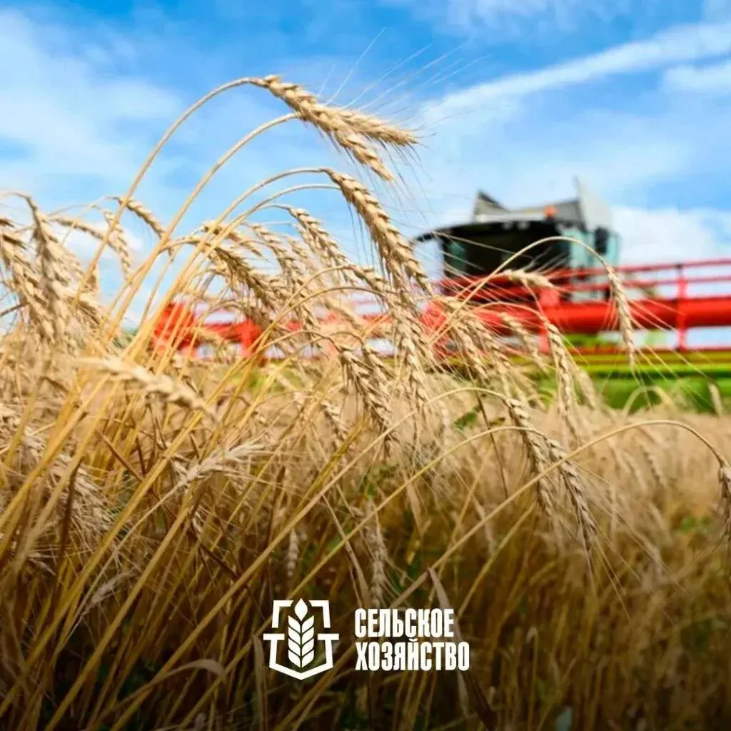 🌾 Отбор заявок на предоставление субсидий сельскохозяйственным товаропроизводителям на возмещение у