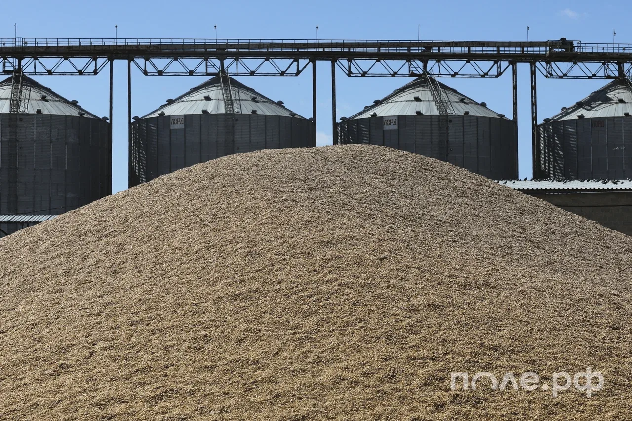 🌾Российские сельхозорганизации увеличили отгрузки зерна на 30,9% — до 4,1 млн тонн в мае — Росстат.