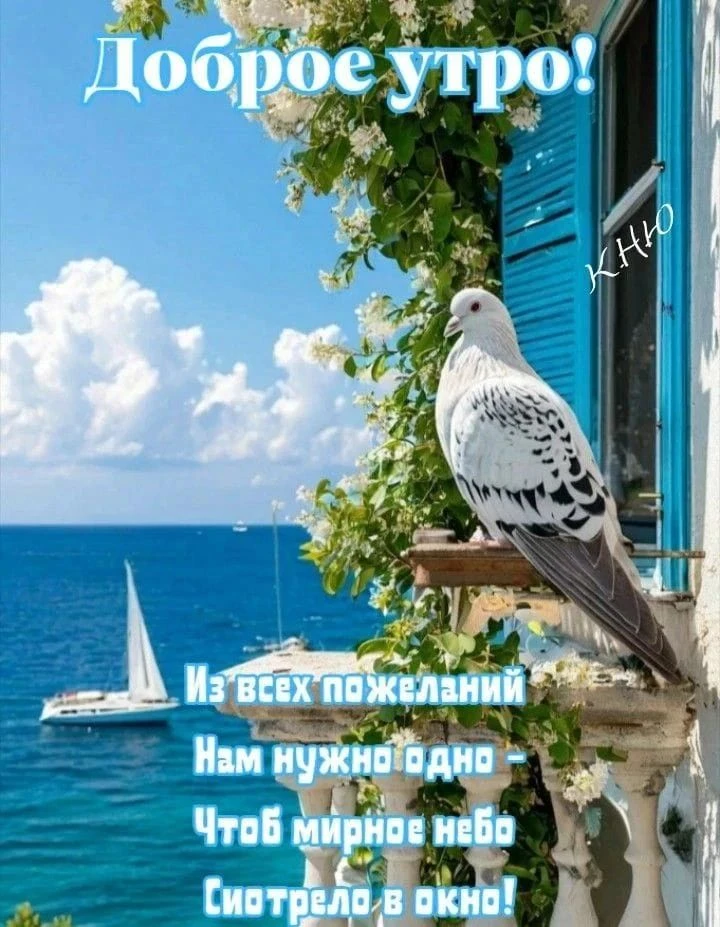 Доброе утро, добрые люди 🤗