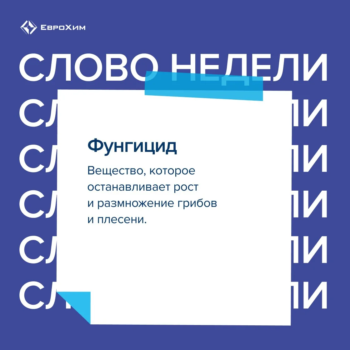 Слово недели — фунгицид ❓

🌱 Представьте, что вы покупаете хлеб, яблоки или помидоры. Прежде чем он