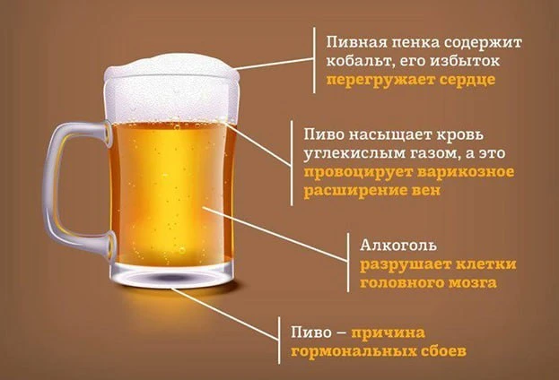 💥 Как пиво влияет на организм