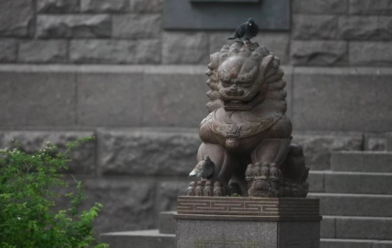 🦁 Лев, охраняющий Дацан на Старой Деревне. Правда, судя по всему, охранников всё же два...)

✌️ Сос