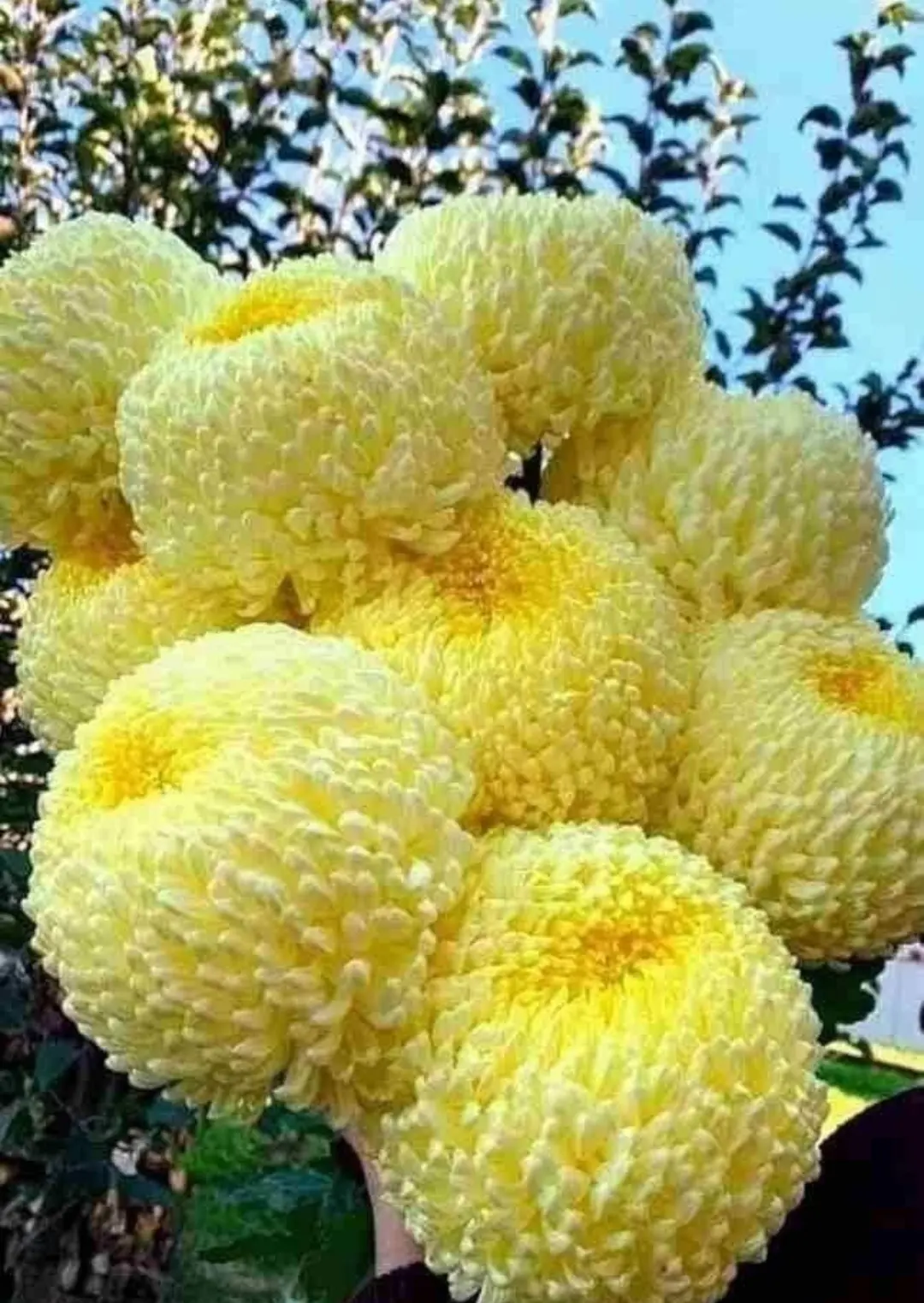 Здравствуйте, коллеги! С праздником!
