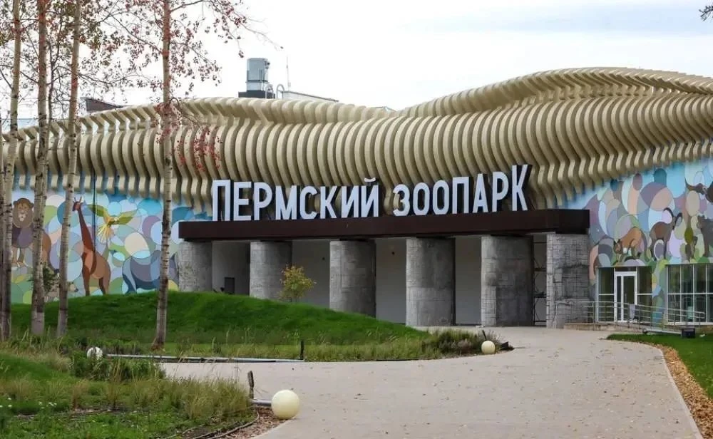 🐻 Многодетные семьи смогут бесплатно посещать Пермский зоопарк