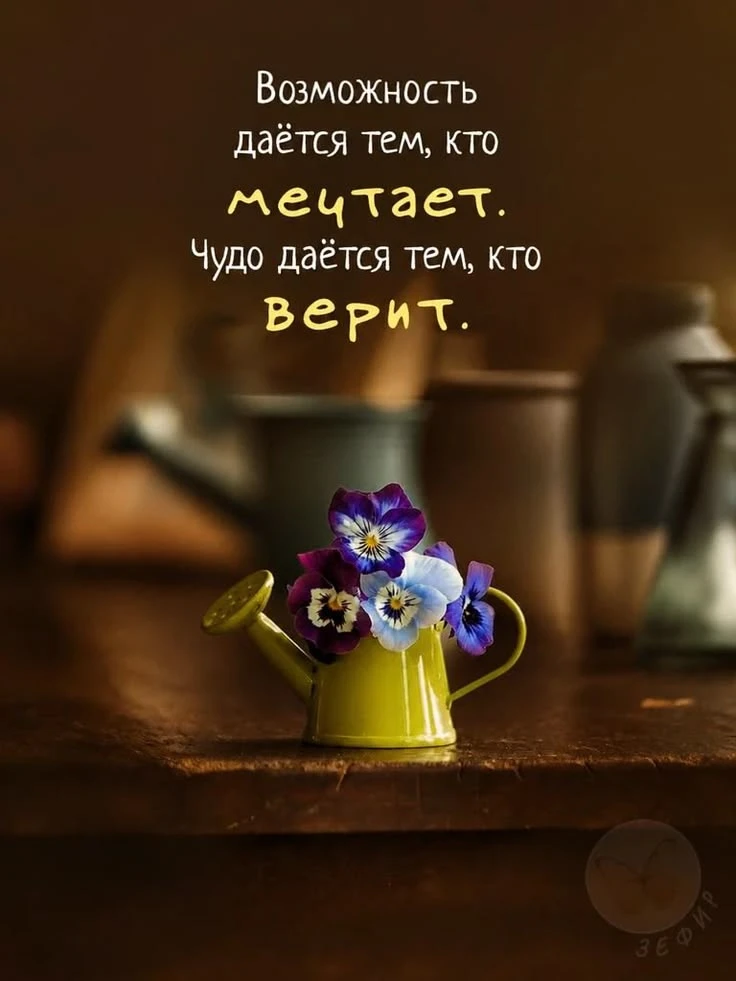 https://max.ru/invista123456