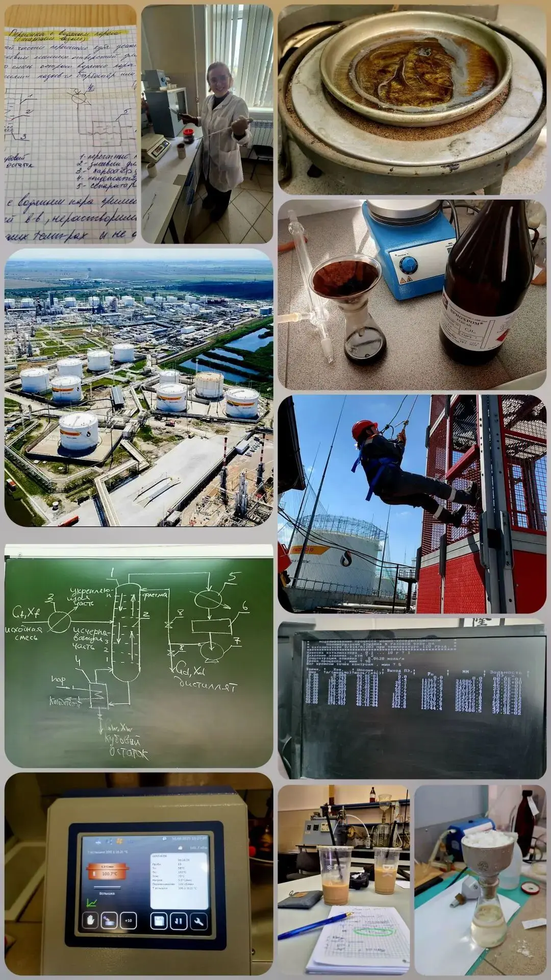 👩‍🔬Завершающий коллаж