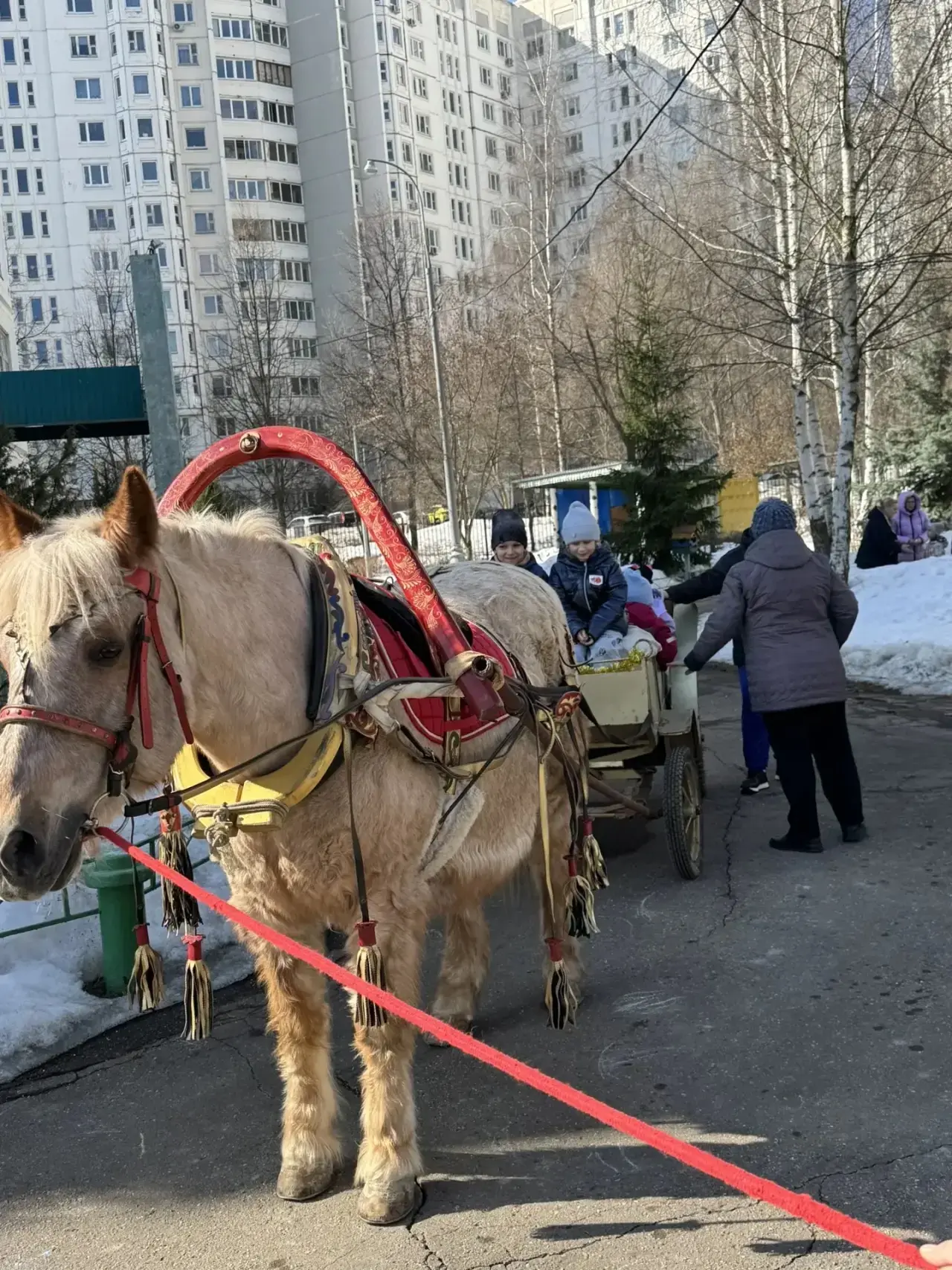 🎶День русской песни в детском саду   💫В нашем дошкольном корпусе прошло яркое мероприятие, посвященн