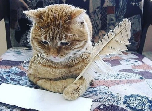 Уфимцев зовут на «Олдскульный диктант»