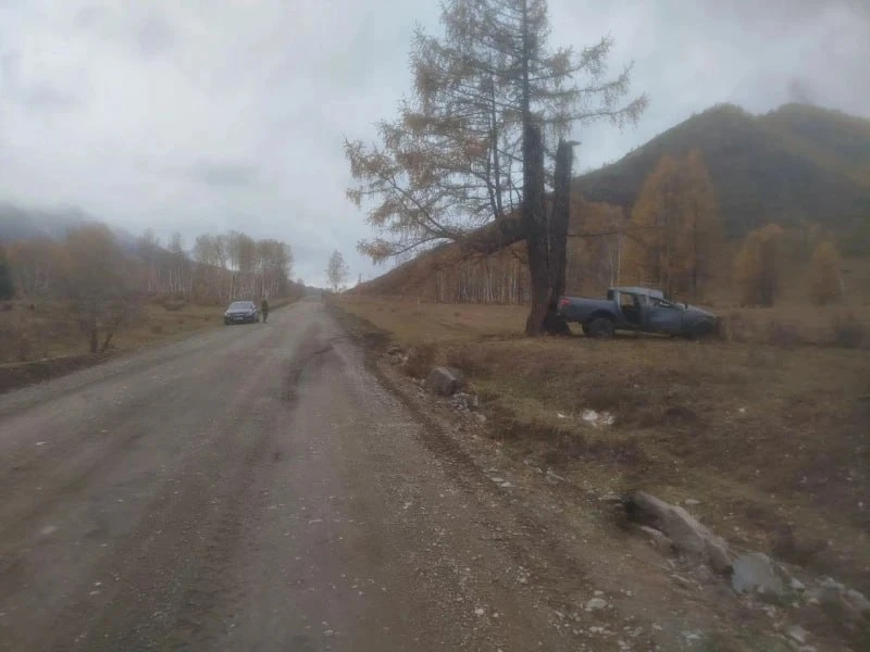 В Усть-Коксинском районе врезался в дерево на пикапе и переломал ребра пенсионер без во...