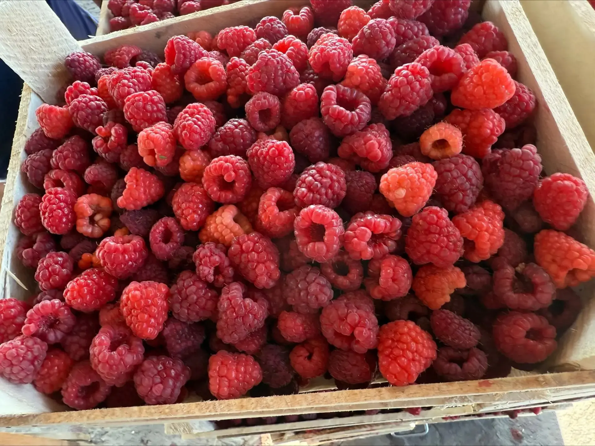 🍓🍇🍒 Свежайшие новости: в этот четверг или пятницу ждём новое поступление ягод из сол...