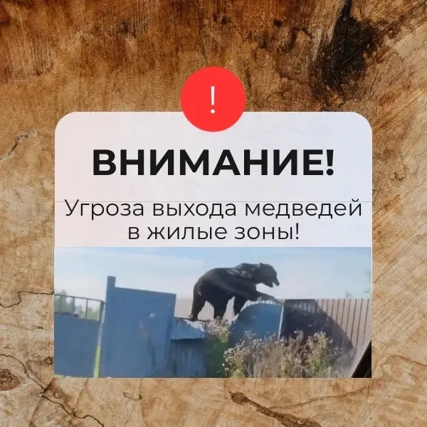 ⚠️ ВНИМАНИЕ! Угроза выхода диких животных в жилые зоны!