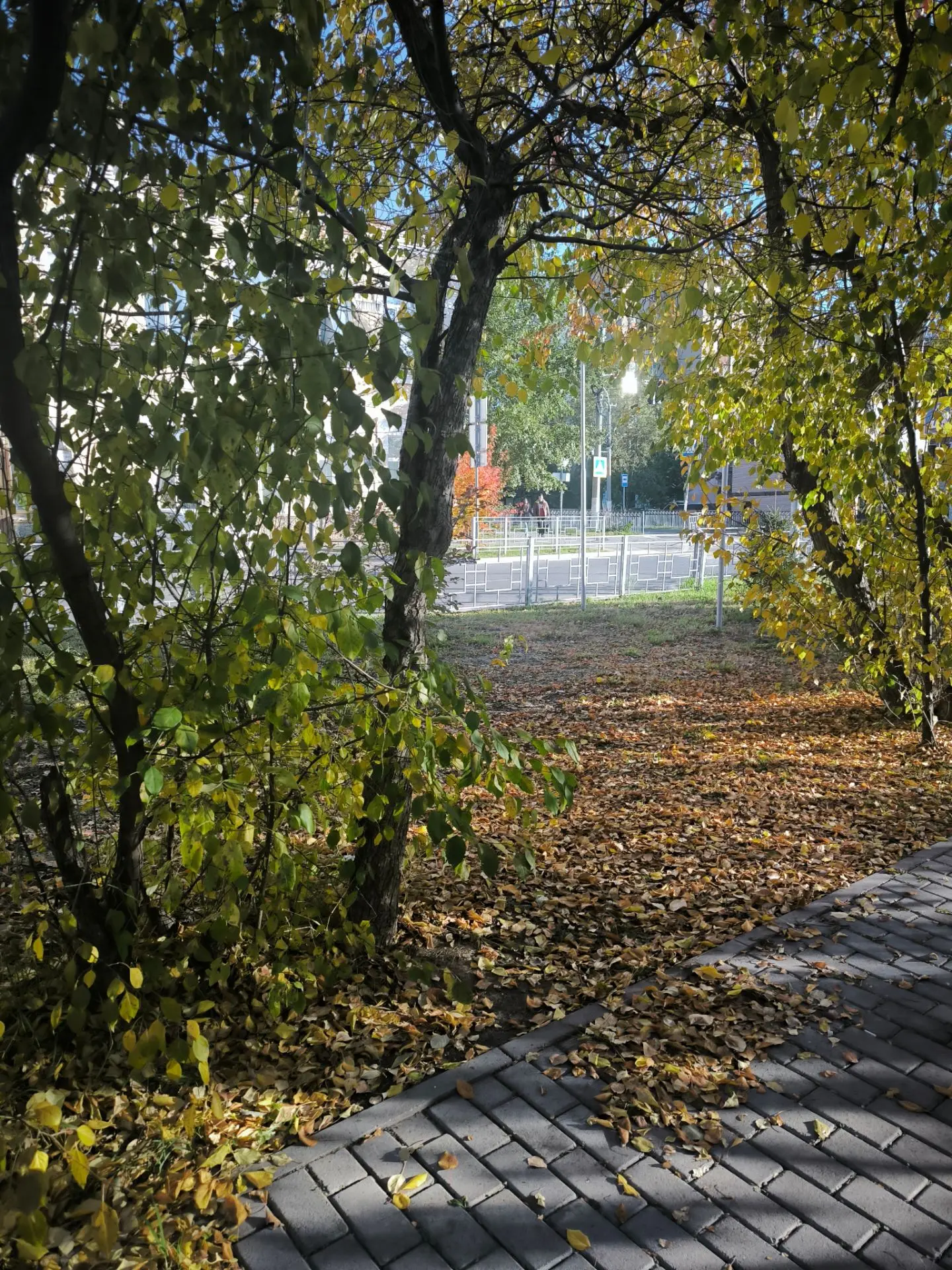 Девчата привет, наступает осень🍁🍂!