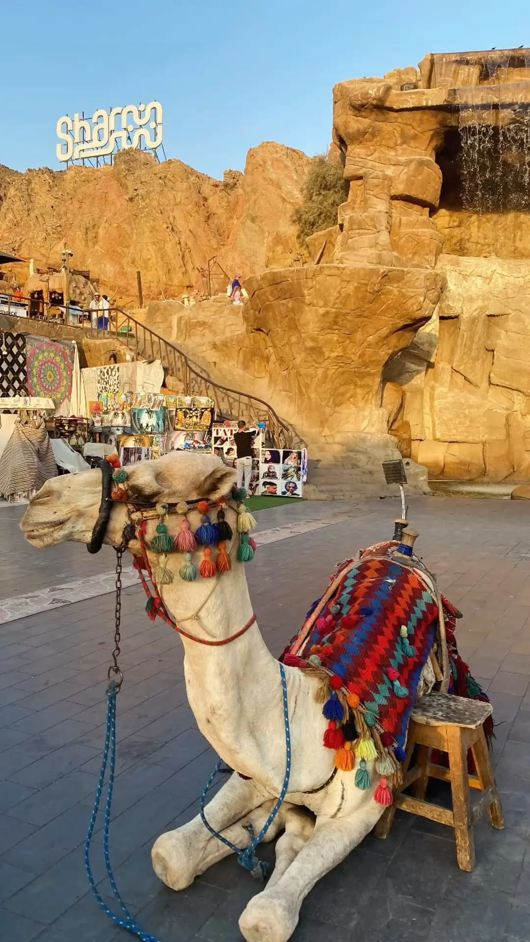 Семейный отдых с детьми в Египте 🇪🇬 — это комфортное море, система «всё включено» и к...
