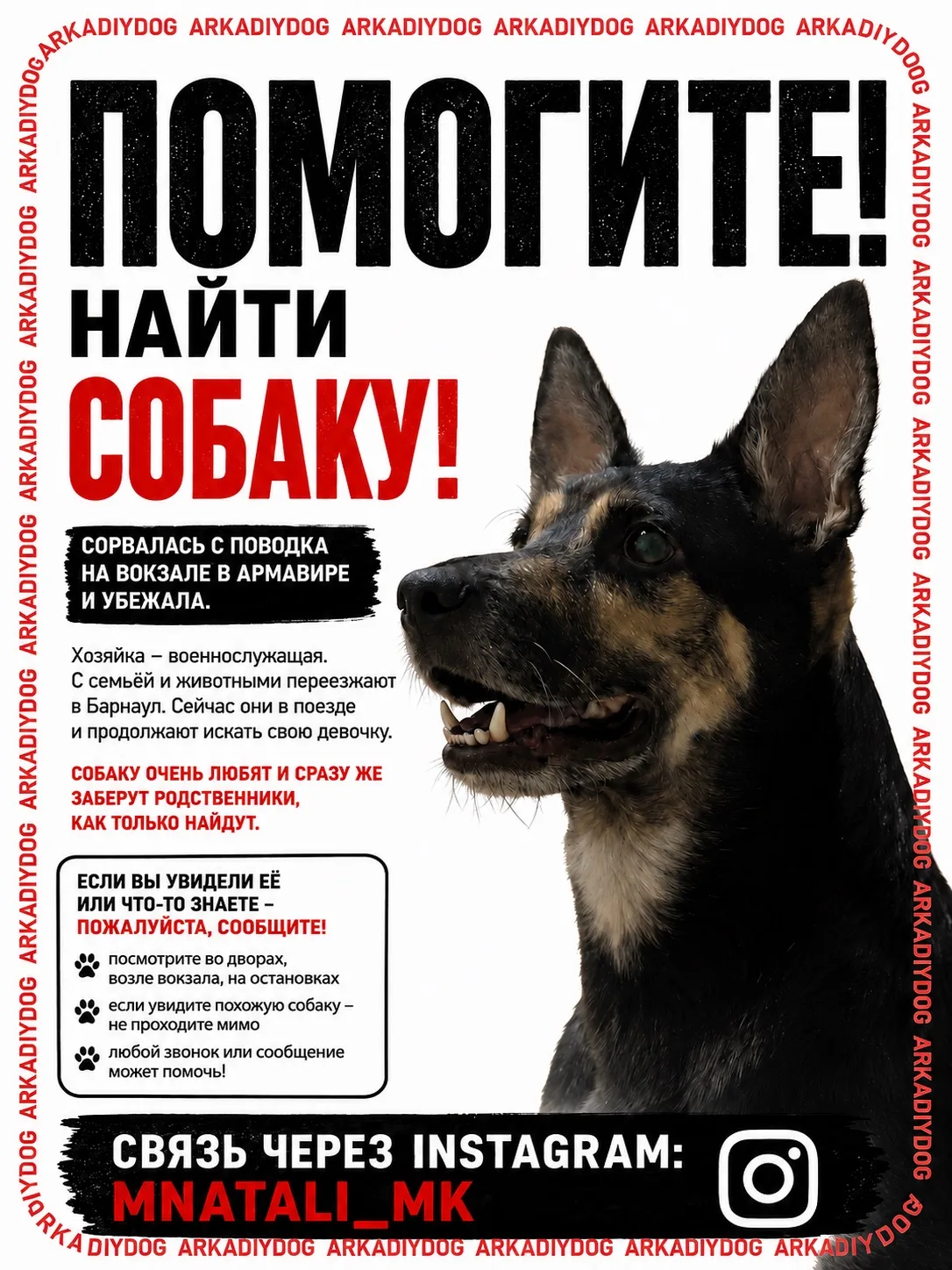 🚨 АРМАВИР! ПОМОГИТЕ НАЙТИ СОБАКУ! 🚨

Сегодня на вокзале в Армавире произошла беда — испугавшись шу