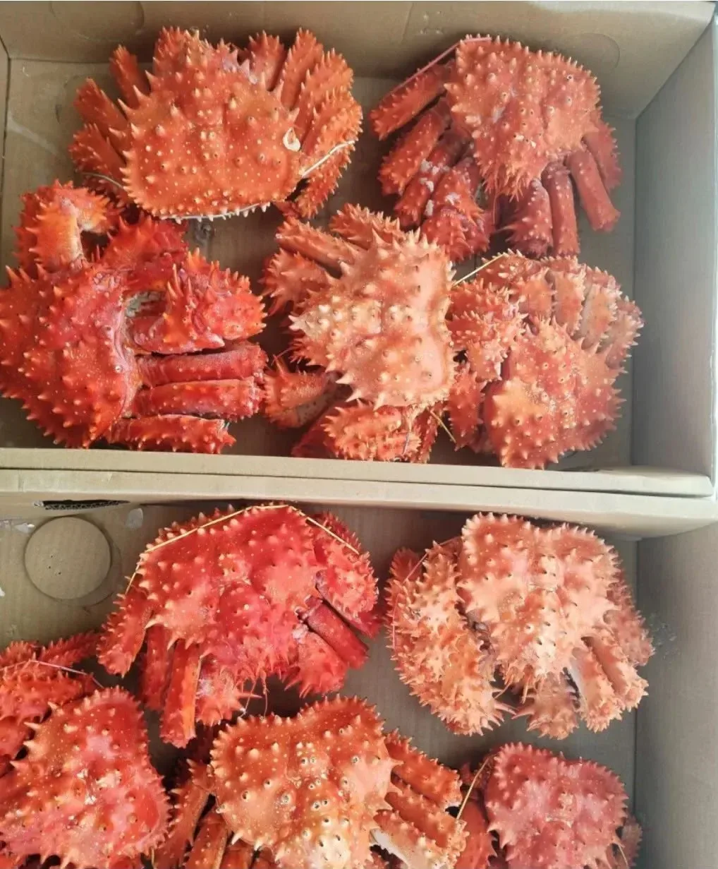 🦀 КОРОЛЕВСКИЙ КРАБ 🦀