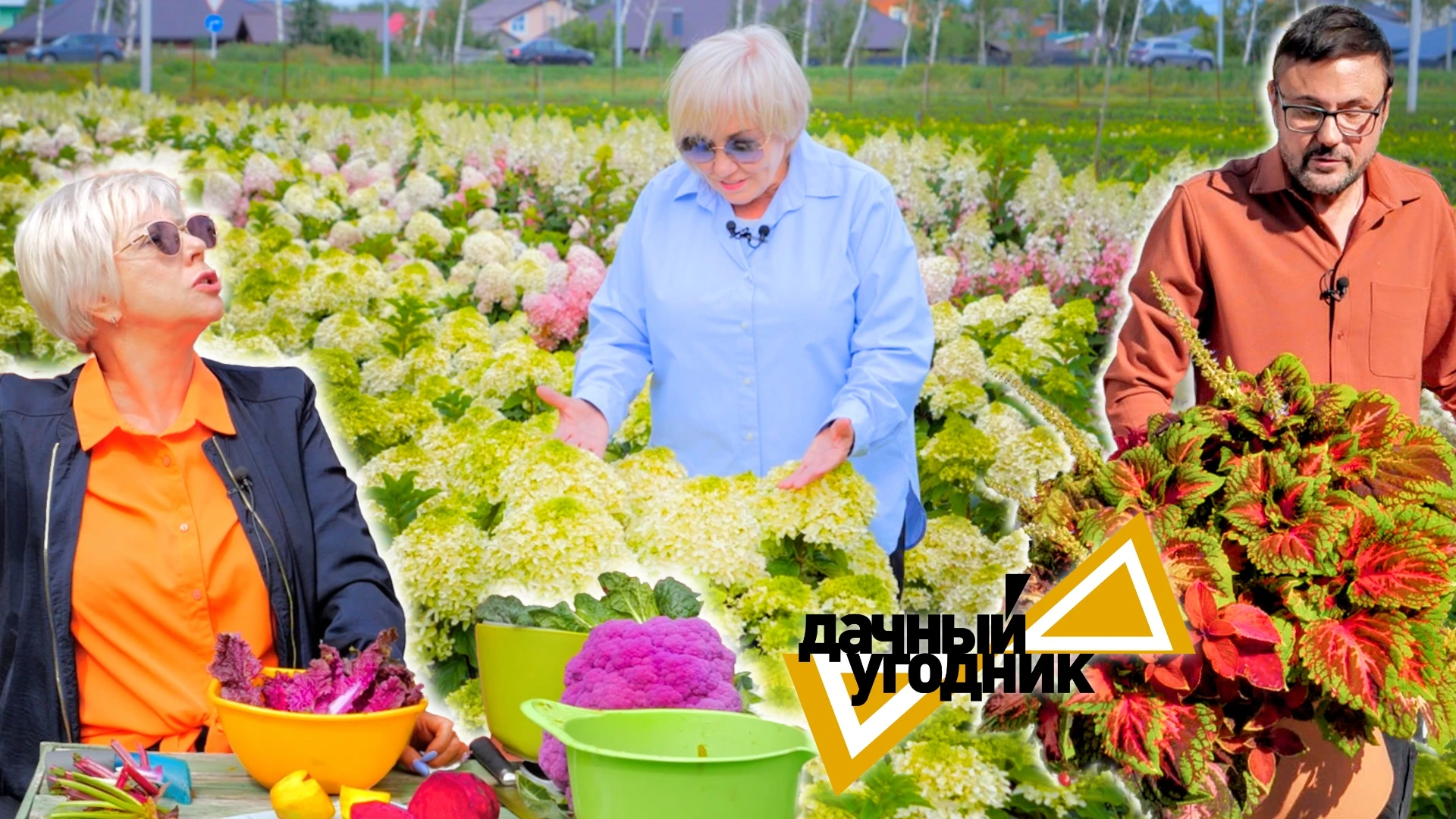 Много сортов овощных и декоративных культур / Дачный угодник