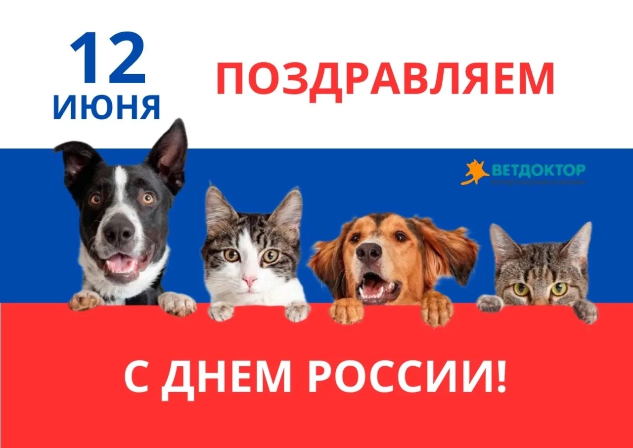 Поздравляем с днем Росии!

Пусть наша страна остаётся пространством возможностей, где ценят труд, та