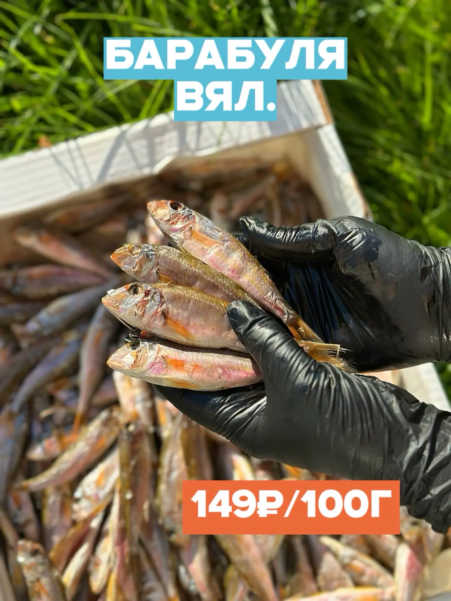 ОБЗОР ВЯЛКИ 🐟🔥