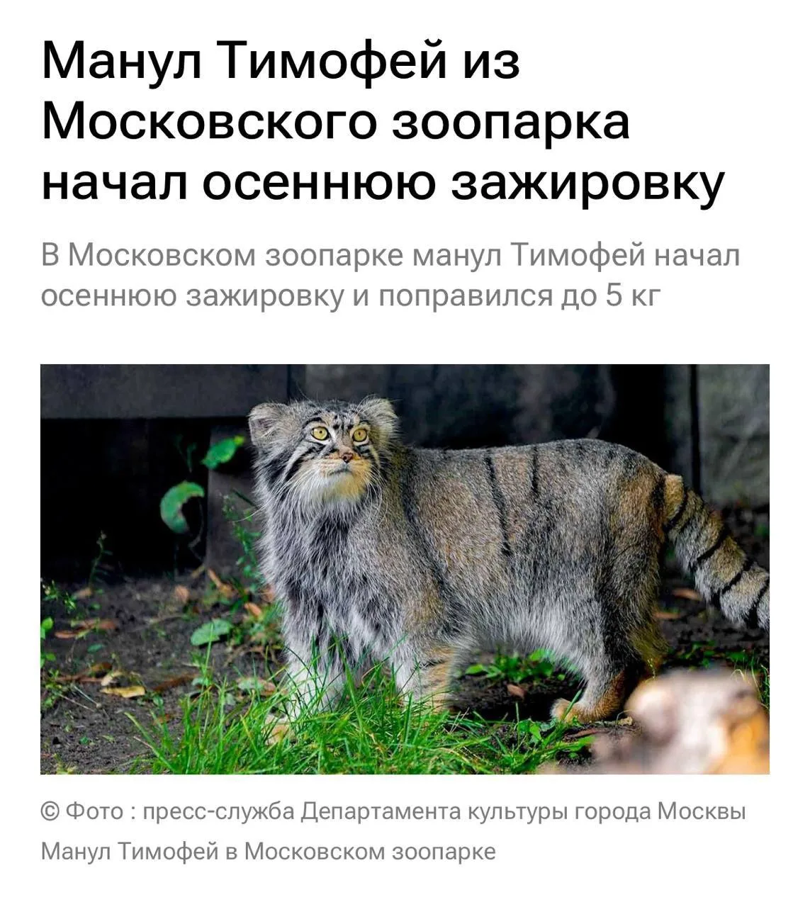 Медиа публикации