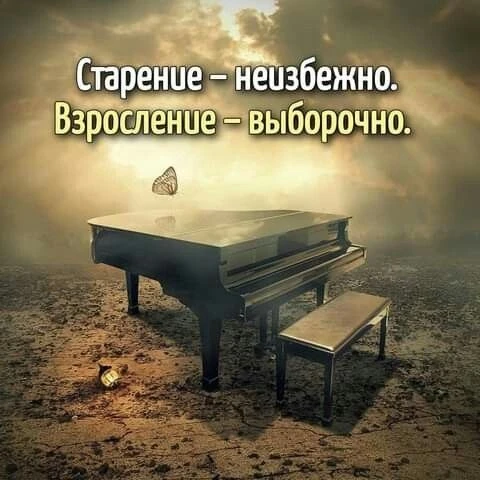 ⁣⁣🚨

Цитaты  - Подписаться