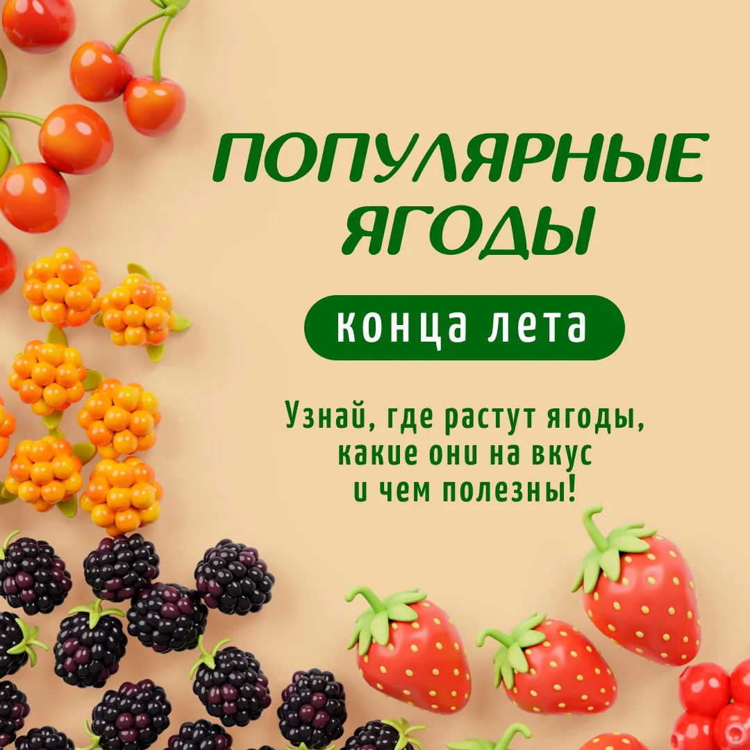 🍓Август и начало сентября дарят нам щедрый урожай — пора собирать ароматные и полезные...
