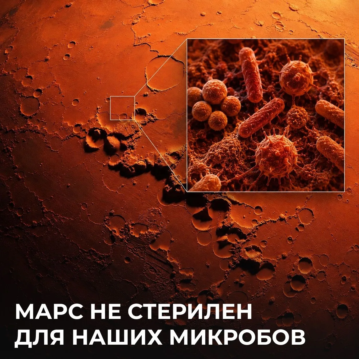 Марс — почти идеальная неблагоприятная среда для всего живого. Атмосфера на 95% состоит из CO₂, давл