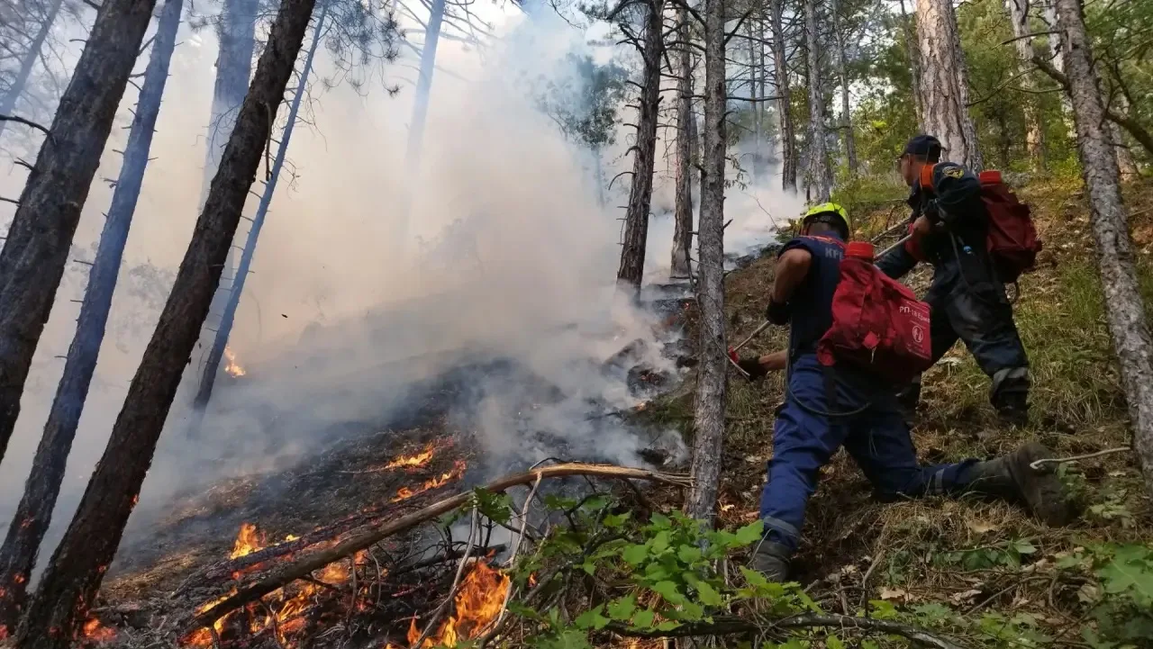 ⛰️В Ялте продолжаются работы по ликвидации лесного пожара