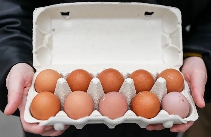 🍳 Яйца в Алтайском крае подешевели почти на четверть

В июне цены на продукты в регионе в среднем с