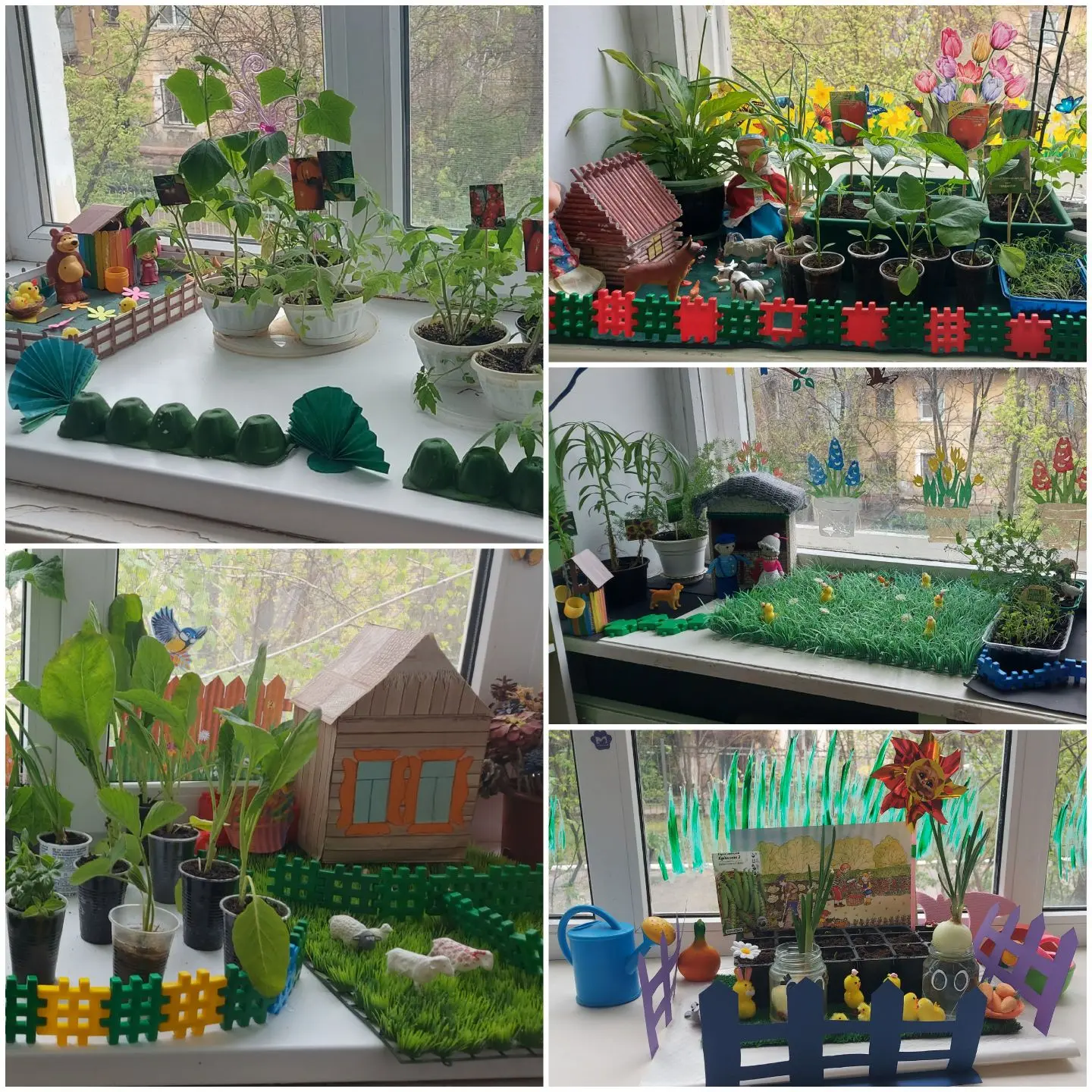 🌱 В нашем детском саду прошел конкурс «Сад, огород на подоконнике»!

В конкурсе приняли участие все