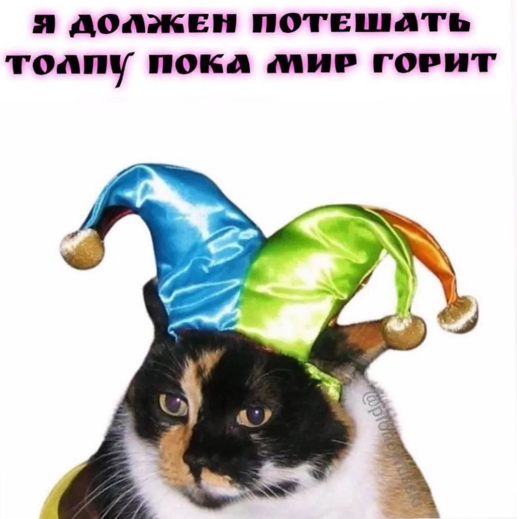Коллеги, так я вижу свою миссию сейчас.