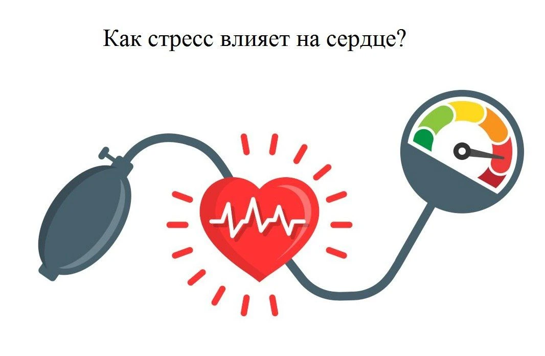 📌Как стресс влияет на сердце?